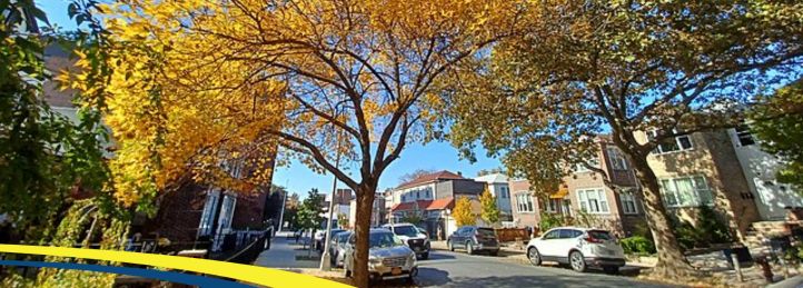 Bay Ridge, NY